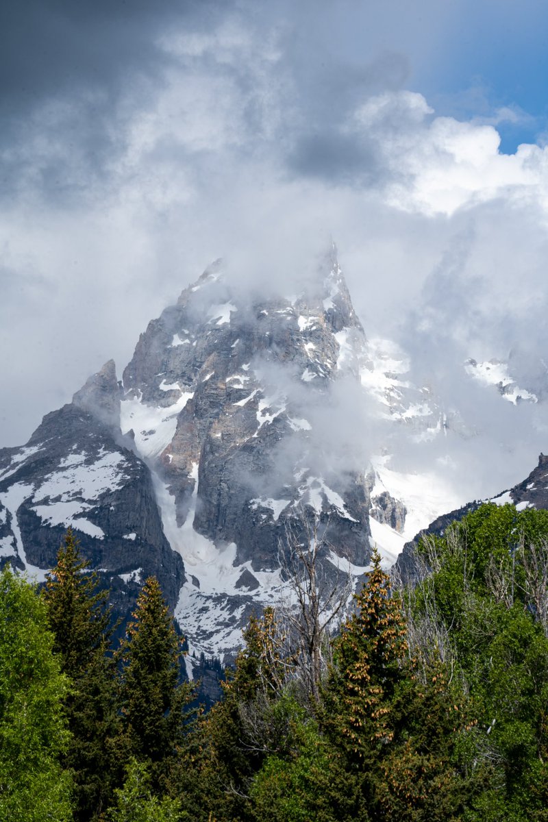 KyleLinebaugh's tweet image. 🏔️