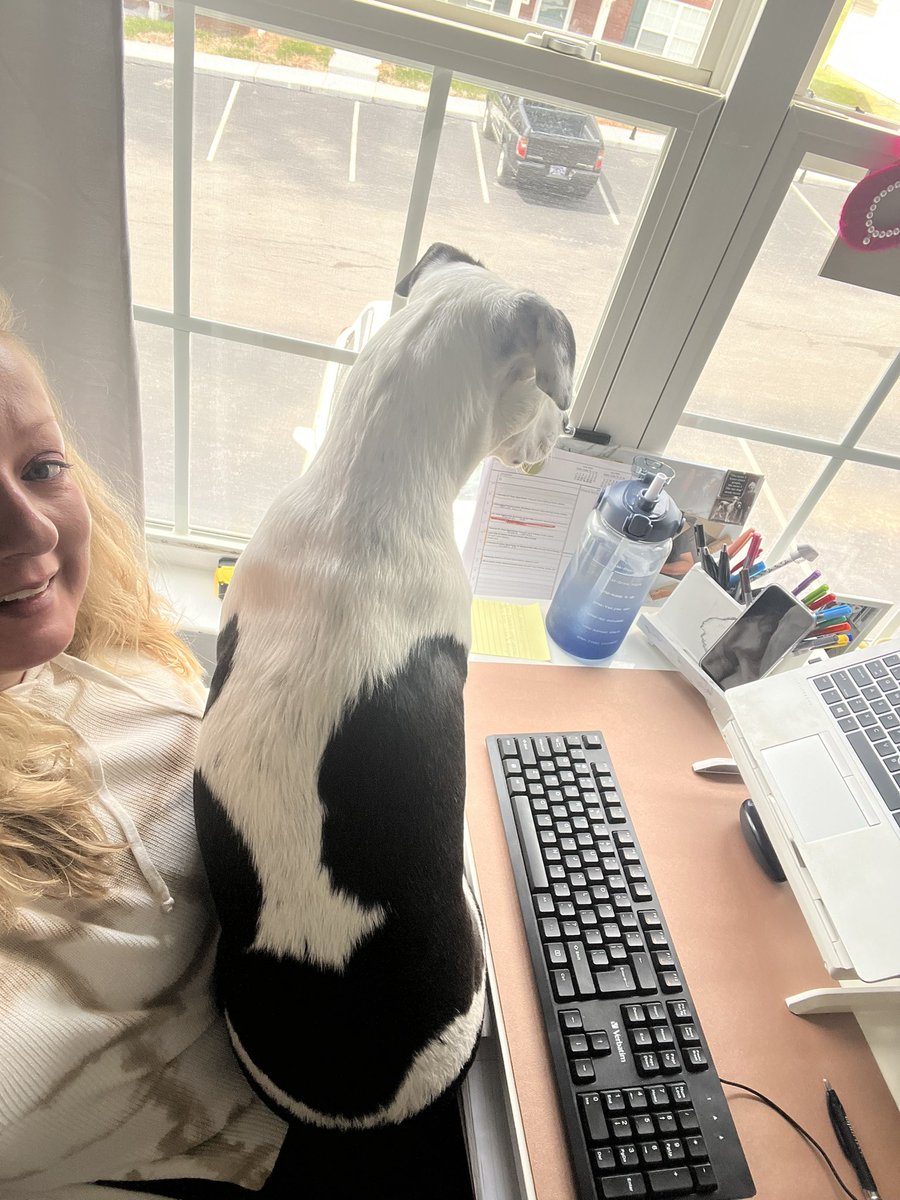 Opal has figured out that if she sits in my lap, she can see outside. This is not good.