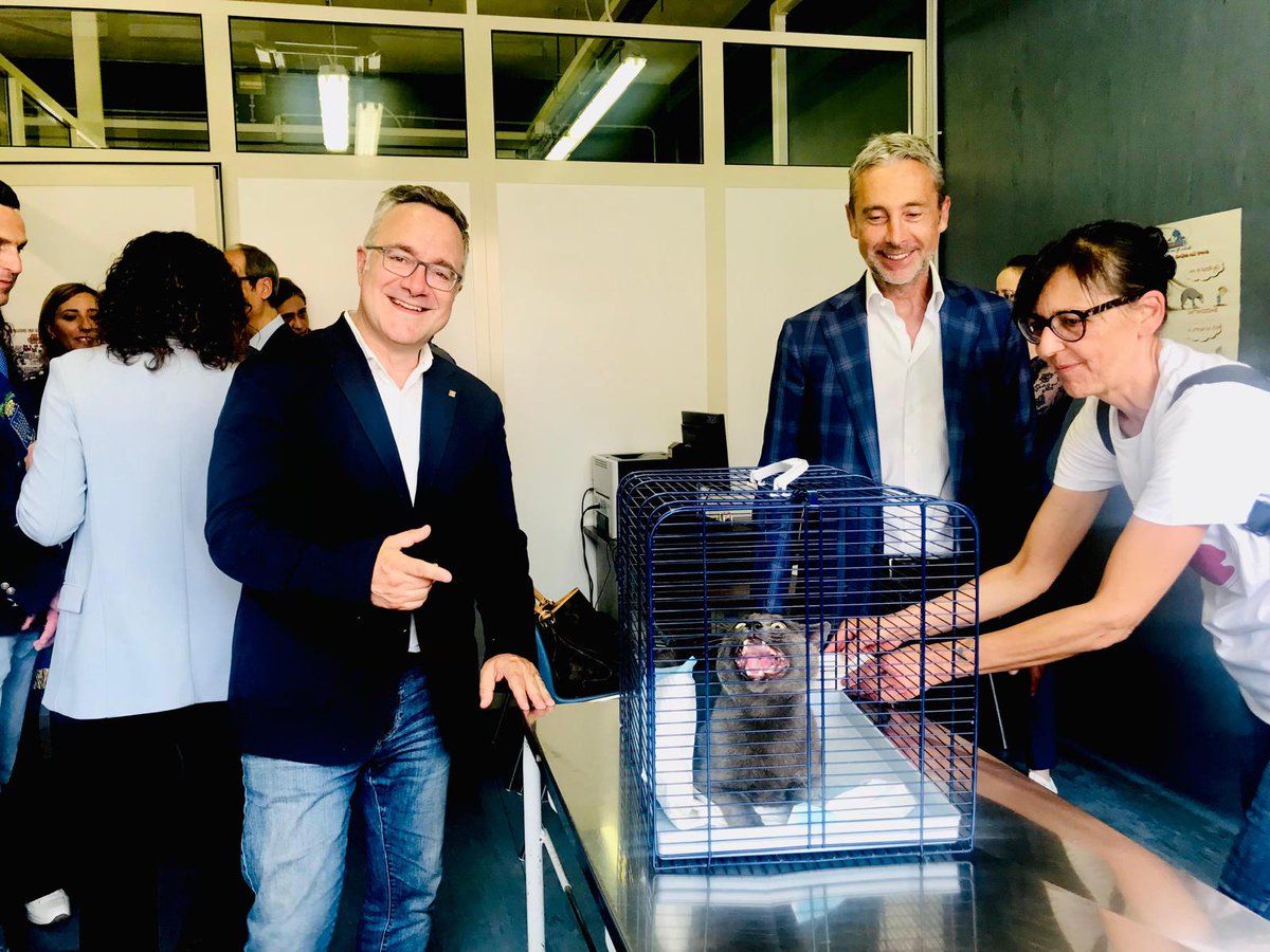 steccoale's tweet photo. Inaugurato a #vercelli assieme a @GLocarni e @patriziaevangelisti il terzo  Ambulatorio Sociale Veterinario voluto dall'assessore @CaucinoChiara con la preziosa collaborazione di @aslvercelli.
@VercelliLega @danielebaglione @MolinariRik @GruppoPiemonte @LegaPiemonte https://t.co/dx2O31uNqm