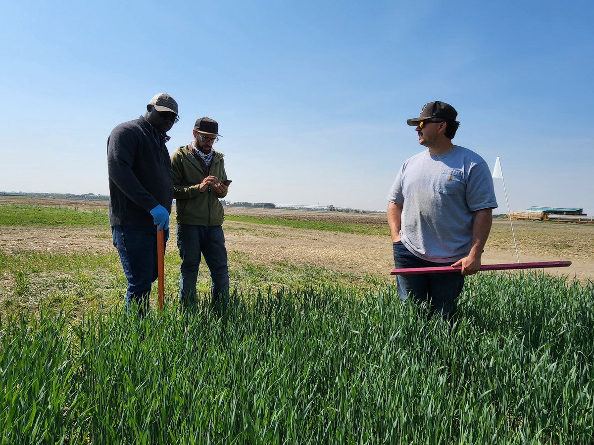 FarmingSmarter's tweet photo. Our field teams are getting our Saving Soils Strip Till & Living Mulch plots ready for #PlotHop23! We're excited to show off some of our favorite trials July 13
Don't miss out on this great opportunity to learn in the field! Register today: https://t.co/gAgD8RWyHb https://t.co/OSidJS8OIQ