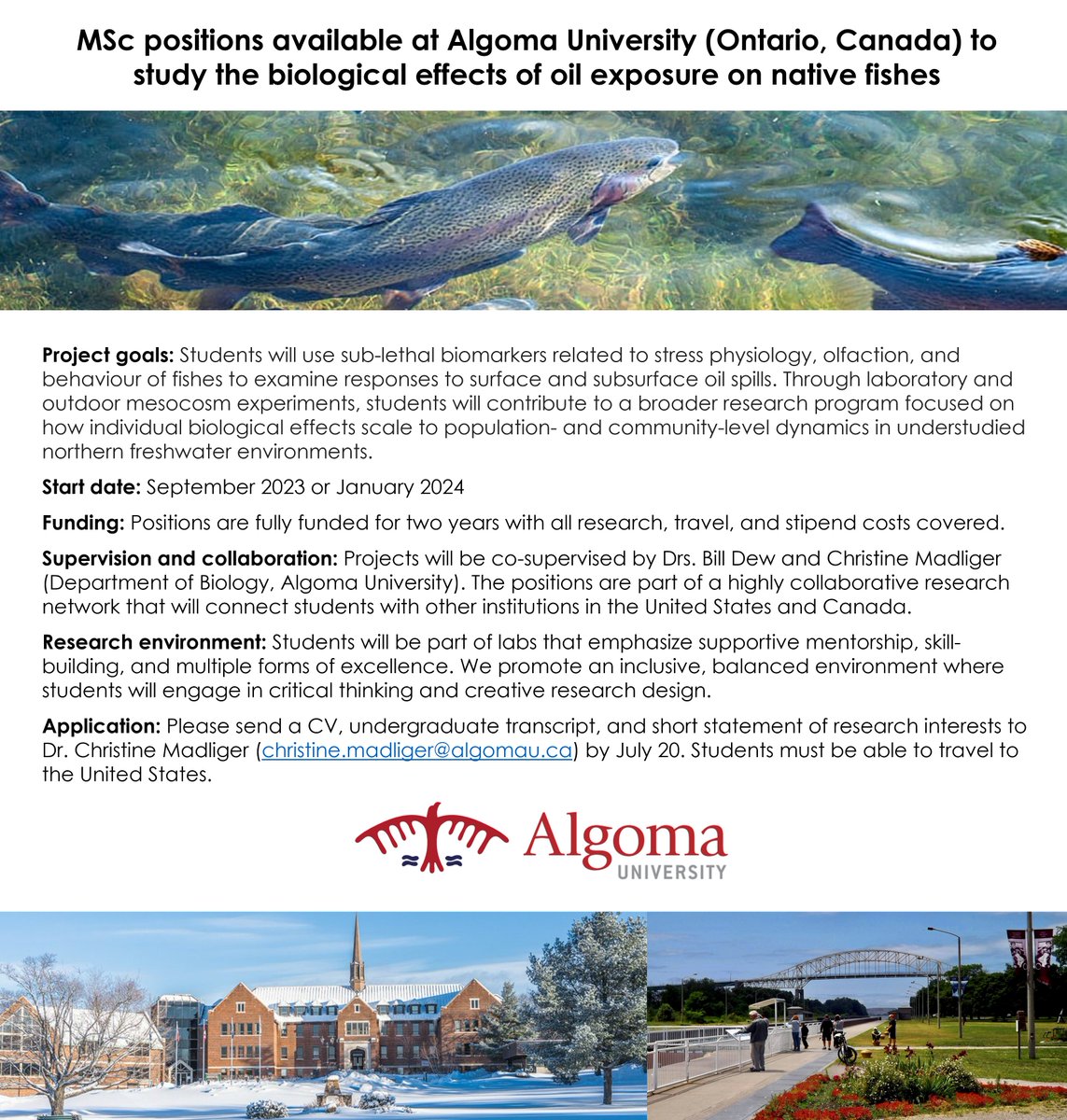 Christine Madliger tweet media