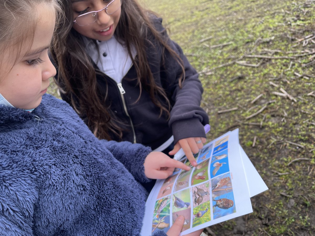 ExploraOHiggins's tweet photo. “Un recorrido científico”, fue el nombre del taller que la Red Científica #MásMujeresEnSTEM de la UOH realizó el pasado martes en la Escuela Enrique Serrano de Viale Rigo, de la comuna de #Pichidegua, para niñas y niños del #Programa4a7 de Sernameg. 📷📷 https://t.co/VLB6MyAYrS