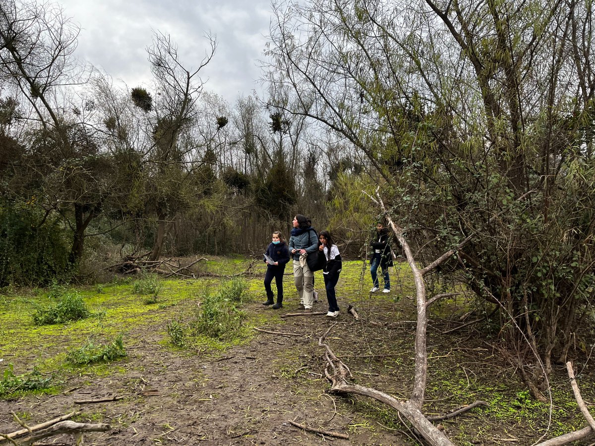 ExploraOHiggins's tweet photo. “Un recorrido científico”, fue el nombre del taller que la Red Científica #MásMujeresEnSTEM de la UOH realizó el pasado martes en la Escuela Enrique Serrano de Viale Rigo, de la comuna de #Pichidegua, para niñas y niños del #Programa4a7 de Sernameg. 📷📷 https://t.co/VLB6MyAYrS