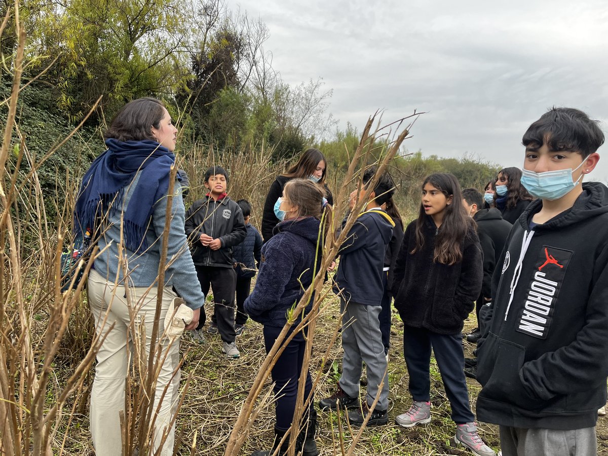 ExploraOHiggins's tweet photo. “Un recorrido científico”, fue el nombre del taller que la Red Científica #MásMujeresEnSTEM de la UOH realizó el pasado martes en la Escuela Enrique Serrano de Viale Rigo, de la comuna de #Pichidegua, para niñas y niños del #Programa4a7 de Sernameg. 📷📷 https://t.co/VLB6MyAYrS