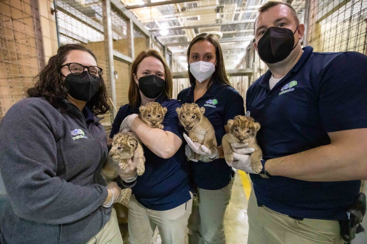 Buffalo Zoo tweet media