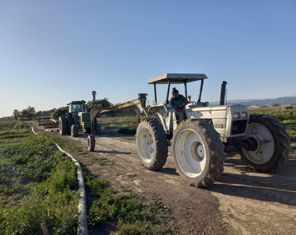 🌱 Join us at the California Organic Center Field Day!🗓️ Date: July 11 ⏰ Time: 11AM to 3PM PST 🌎Location:Camarillo, CA Please visit the link for registration and more information: rodaleinstitute.org/california-org…