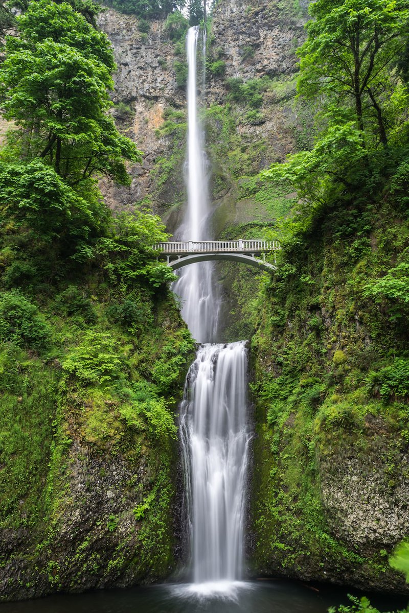 Beautiful Waterfall! 
#nature #NaturePhotography