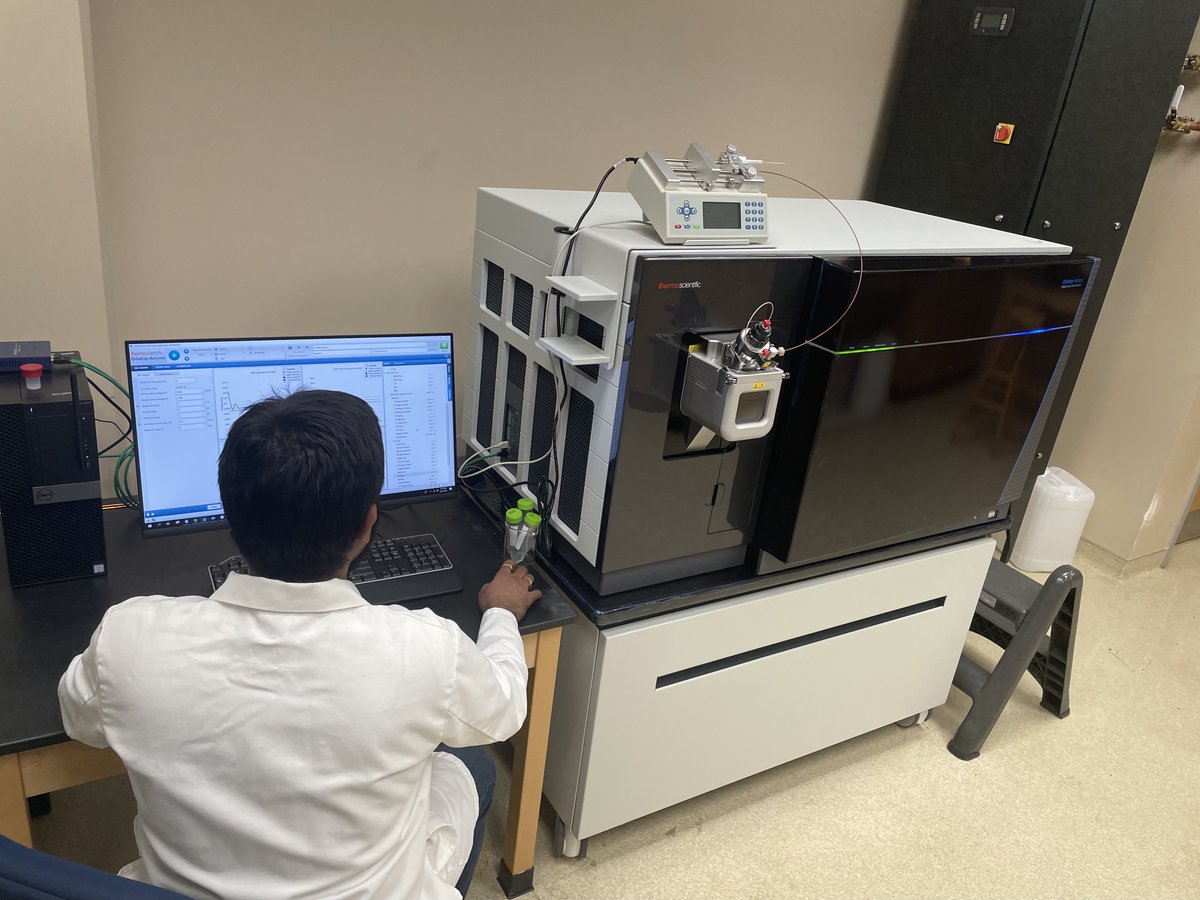 Parastoo Azadi tweet media