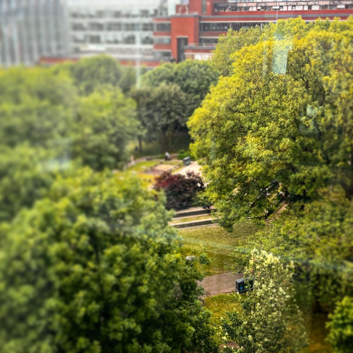 McrWritingSchl's tweet photo. Weβre very proud to present a GREEN WRITING strand through our 2023 #CreativeWriting Summer School - responding to the climate crisis, nature writing - and a wandering workshop in All Saints Park. Thanks to our Paul Evans, Gregory Norminton and Monique Roffey for leading. π³βπΌπ https://t.co/CKAf875DLl