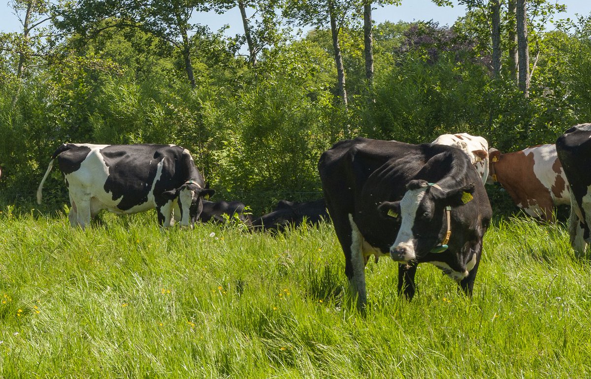 Het programma 'Utrecht is Wakker' van <a href="/rtvutrecht/">RTV Utrecht</a> stond vanochtend in het teken van het Landbouwakkoord en interviewde onze directeur Josja Veraart.  Je kunt het interview hier terugluisteren, vanaf minuut 41: rtvutrecht.nl/radio/afleveri…