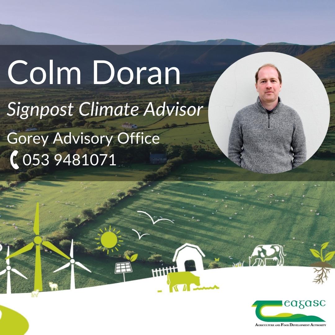 Teagasc tweet media