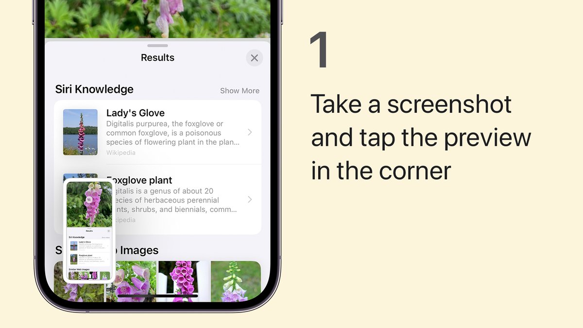 Apple Support tweet media