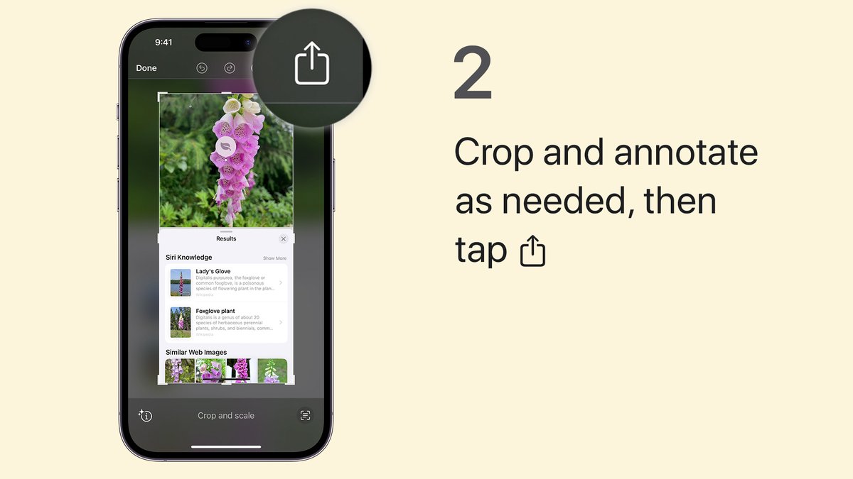 Apple Support tweet media