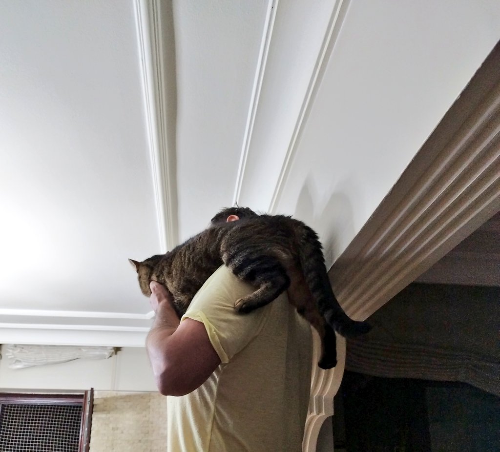 5.geleneksel kelebek avı olimpiyatlarında tekolar hedefe bineklerini sürüyor