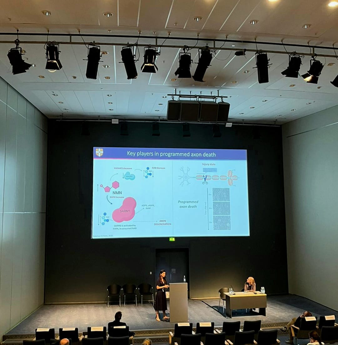 MerliniElisa's tweet photo. Had a wonderful time presenting my PhD research at the annual @PNSociety1 meeting in Copenhagen. As a first time attendee and Junior PNS member, I learned a lot about clinical perspectives of PNS research and how my findings fit into the landscape of toxic neuropathy. #PNS2023 https://t.co/OgqXPkhJid