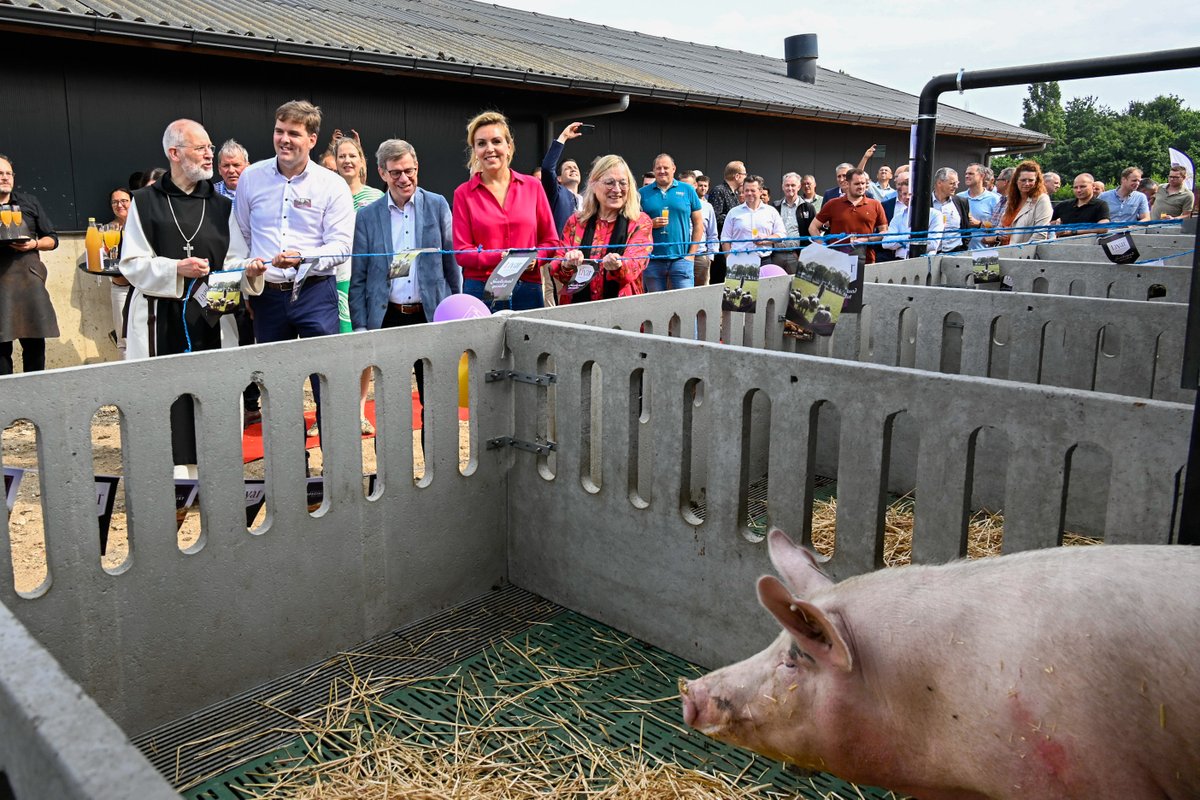 Nieuwe innovatieve Livar-kraamverblijven officieel geopend in Echt. Dankzij financiële steun van Provincie Limburg en de EU zijn allerlei nieuwe snufjes in de stallen mogelijk gemaakt wat moet leiden tot minder emissie van geur, stikstof en CO2.
Lees meer: bit.ly/42SRwOO