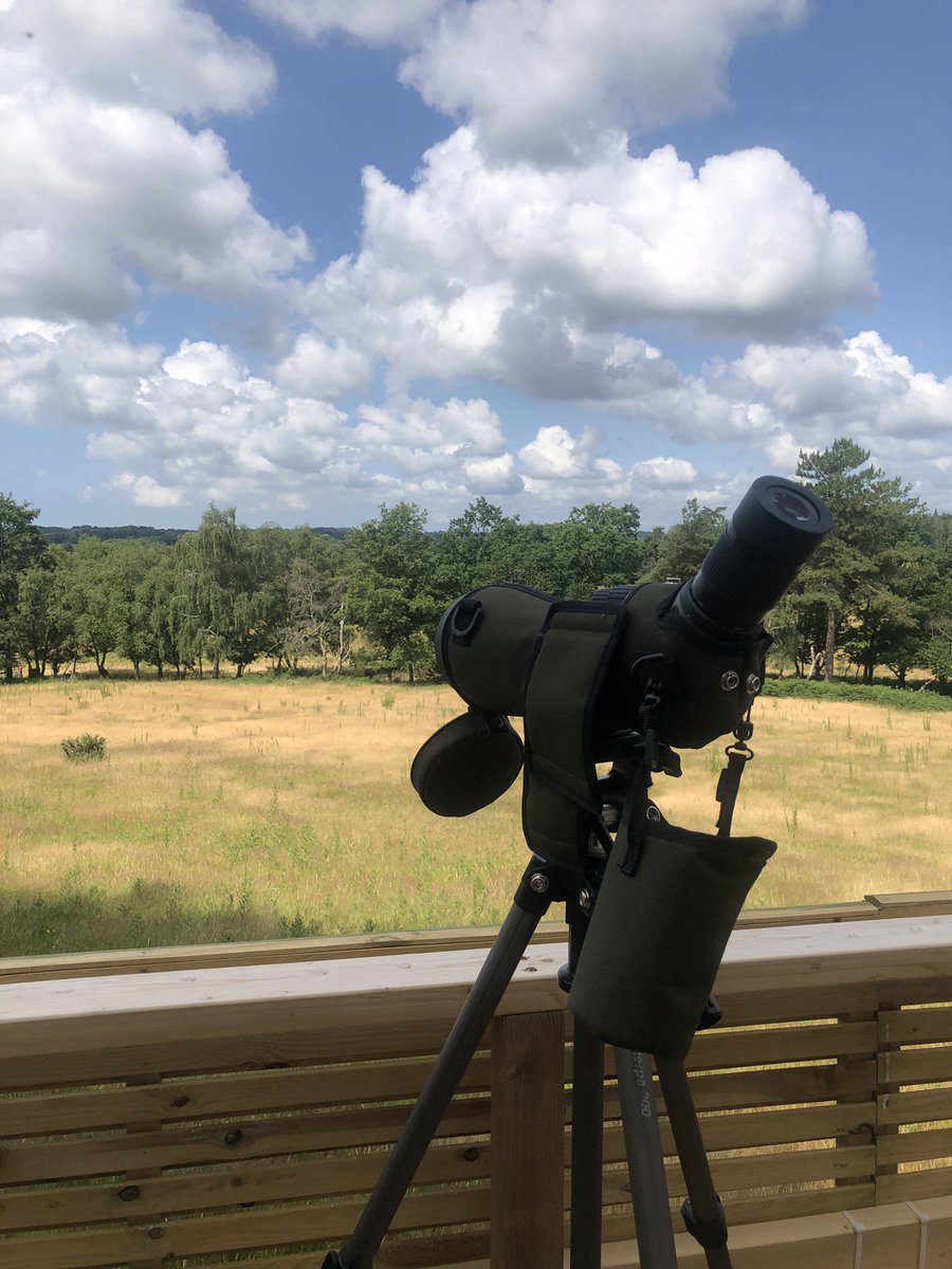 Sam Lloyd (@samlloyd389_sam) on Twitter photo An amazing morning spent at <a href="/CareysSecret/">Careys Secret Garden</a> on the Osprey tour. Thank you <a href="/harbourbirds/">Birds of Poole Harbour</a> it was magic 🤍🐟🦅 An amazing morning spent at <a href="/CareysSecret/">Careys Secret Garden</a> on the Osprey tour. Thank you <a href="/harbourbirds/">Birds of Poole Harbour</a> it was magic 🤍🐟🦅