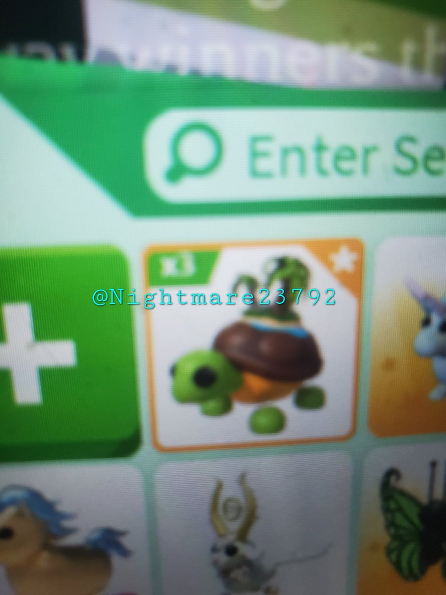 Roblox adoptme  Tortuga / island turtle  giveaway!!
⚠️⚠️must be a follower and retweet to be entered ⚠️⚠️
🎉x2 winners 🎉🥳
⚠️ends july 12th⚠️