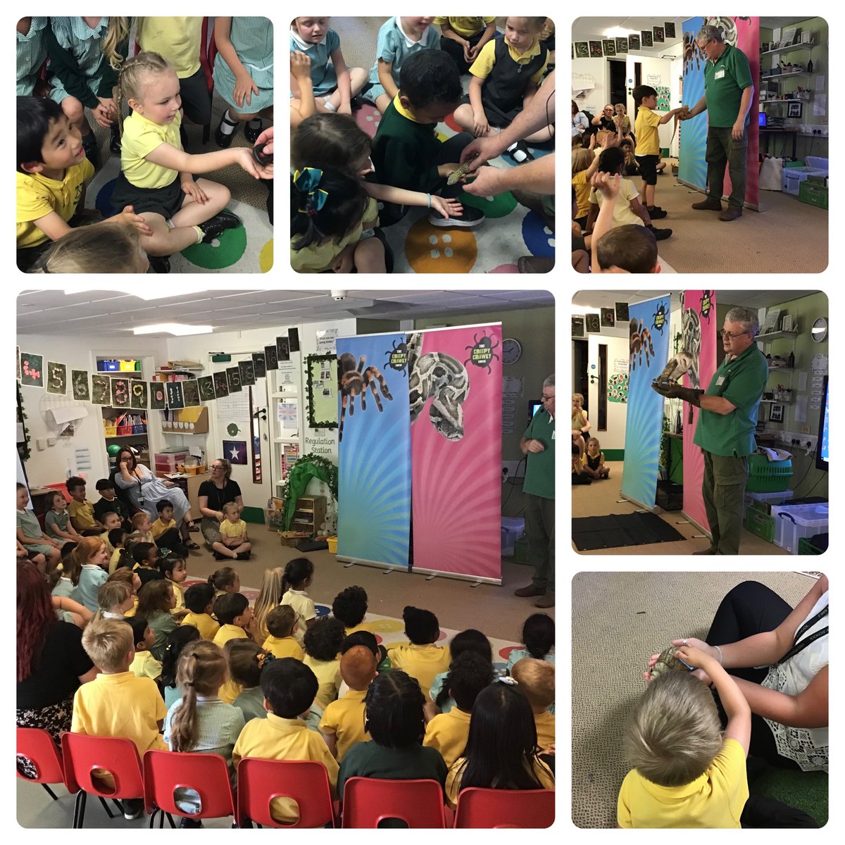firsprimarysale's tweet photo. #RecAsh We had such a fabulous time overcoming our fears during The Creepy Crawly Show in EYFS! 🦎🐍🦂🕸️🪳🐌 https://t.co/PofkNtIXWS