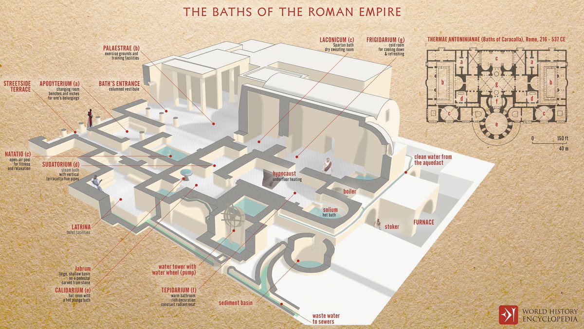 nrken19's tweet photo. New detailed infographic illustrating a typical Roman bathhouse design and elements. The Baths of the Roman Empire were a complex network of public facilities playing a major role in the daily lives of the citizens of the empire. https://t.co/yLDn8pt541
