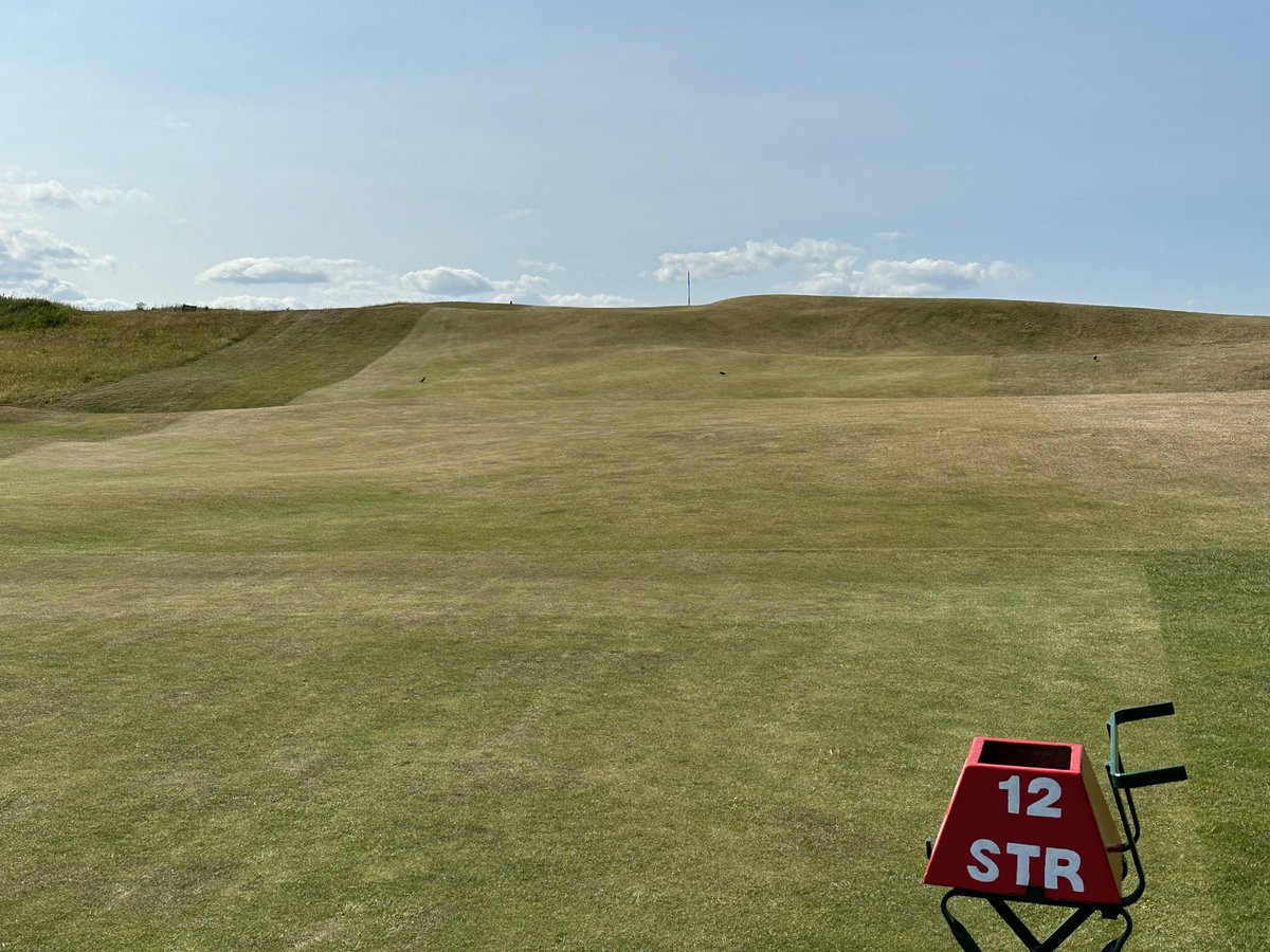 golf course enthusiast tweet media