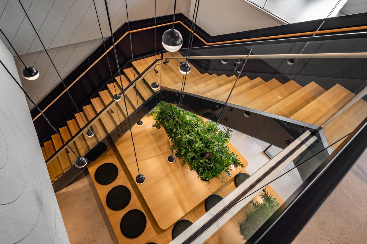 Angie McMonigal tweet media