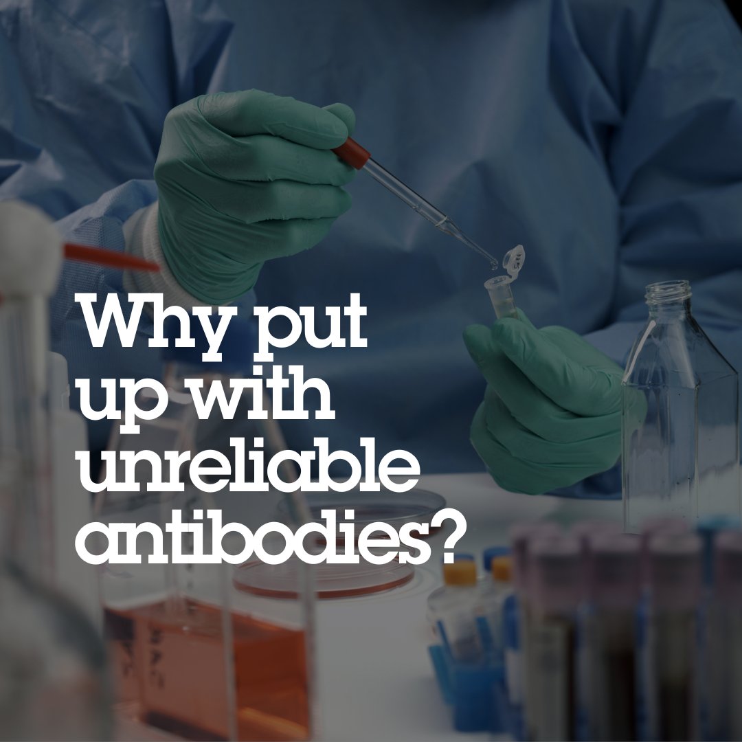 abcam's tweet photo. Scientists trust Abcam validated antibodies: choose from over 29,000 recombinant antibodies to more than 5,000 different genes today at https://t.co/aqoV2SLdHj
#recombinantantibodies #progresshappenstogether #recombinant #lifescience #antibodytest https://t.co/ltwdF2Cg1M
