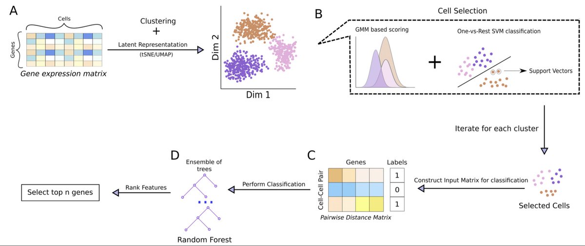 razoralign's tweet photo. InGene: Finding influential genes from embeddings of nonlinear dimension reduction techniques https://t.co/FuQjLdab8E https://t.co/xWWVMVOSTt