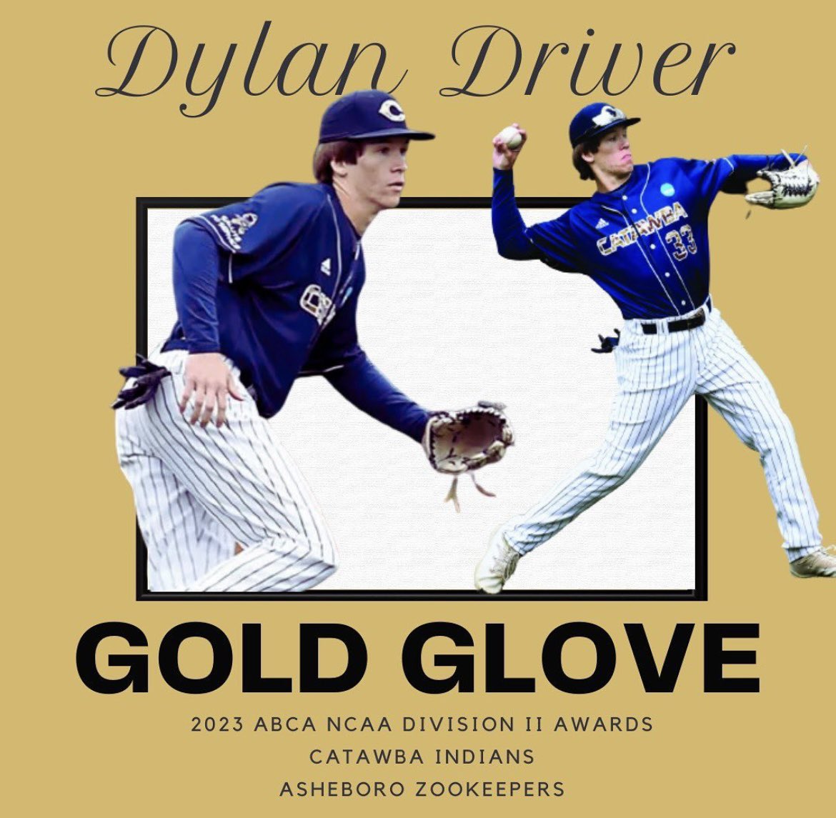 AsheboroCPL's tweet photo. Congrats to @DylanDriver12 on winning Gold Glove! https://t.co/Ws9dPFq2dN