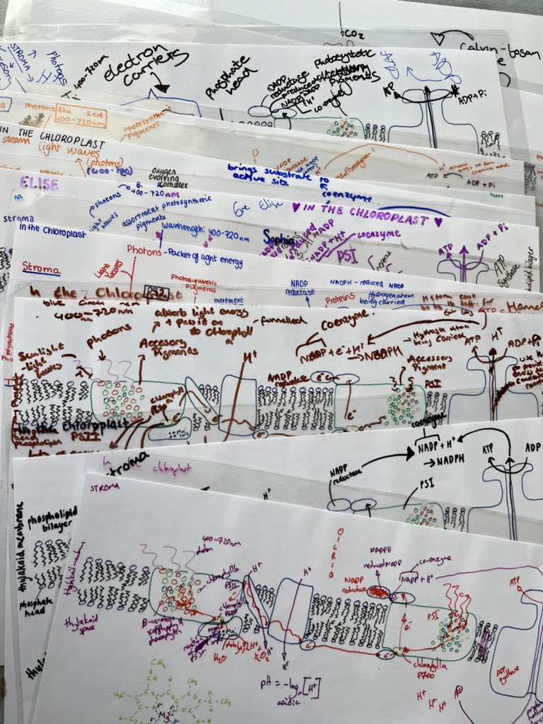 Jon Hale tweet media