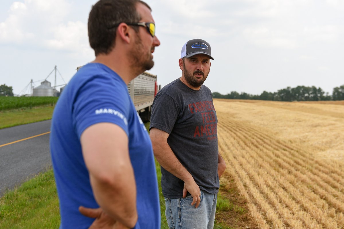 TroegsBeer's tweet photo. Sometimes we find the best ingredients in the world right in our backyard. About 15 miles away, is the Mount Joy farm of brothers Dustin and Cody Musser. The third-generation farmers just harvested two-row barley that will eventually make its way into #FieldStudyIPA. The ... https://t.co/8fdrGT27JM