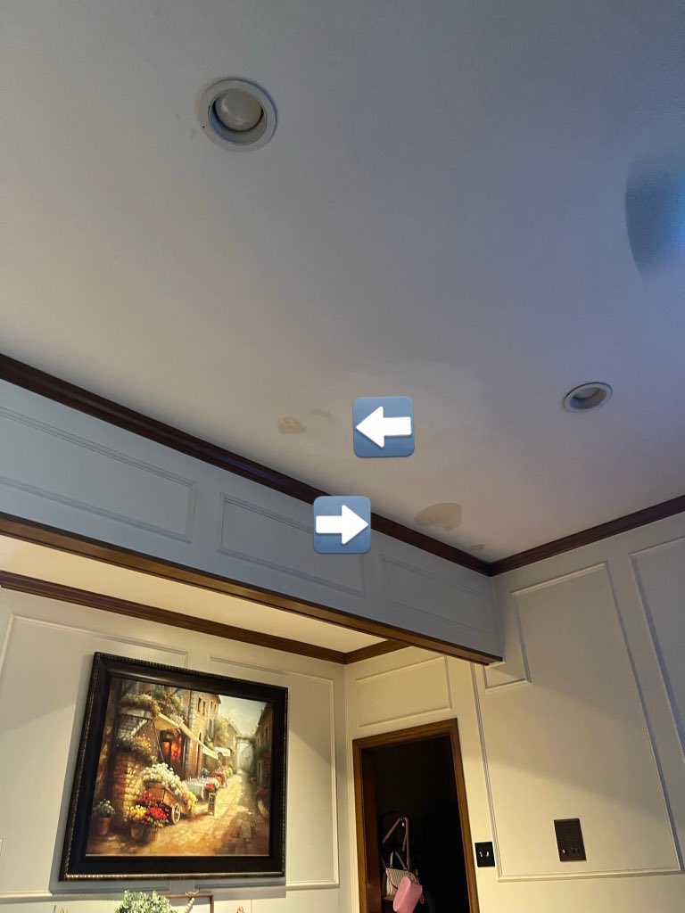 brownbeansprout's tweet photo. And no mention of them fixing our ceilings that were damaged by the first company they sent out.  Don’t trust your largest investment, your home, to @ChoiceWarranty  EVER because they do not care about their customers at all. https://t.co/Ni78JFaEC0