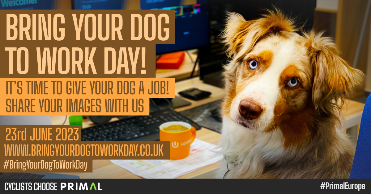 Primal Europe tweet media