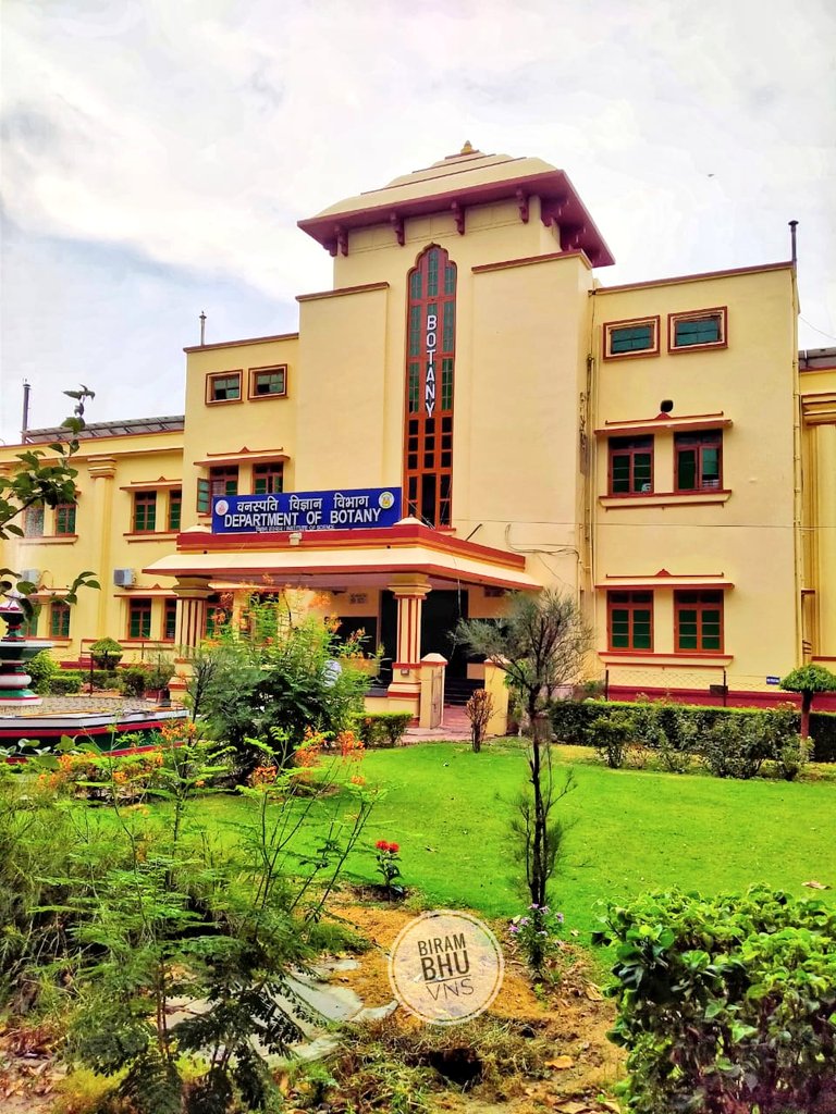 DeanScienceBHU's tweet photo. वनस्पति विज्ञान विभाग, विज्ञान संस्थान, काशी हिंदू विश्वविद्यालय 
रंगरोजन के बाद नए कलेवर में............ https://t.co/ozkCfEGH2i