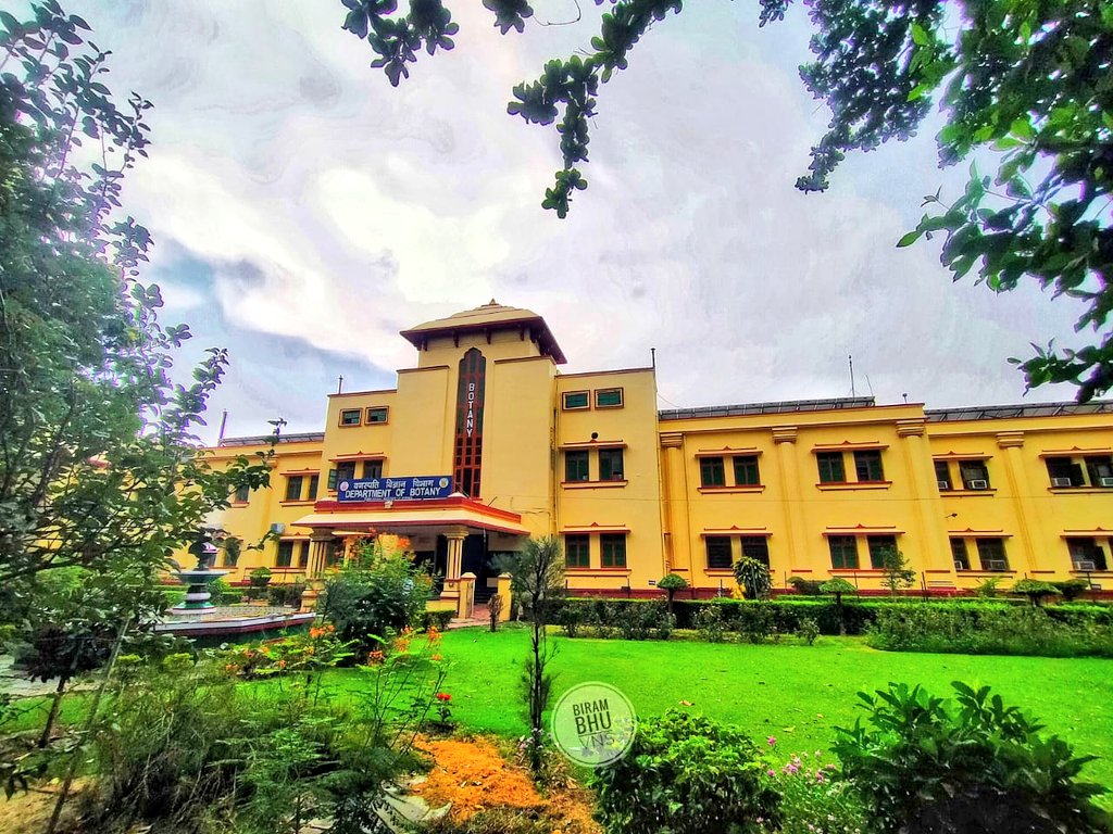 DeanScienceBHU's tweet photo. वनस्पति विज्ञान विभाग, विज्ञान संस्थान, काशी हिंदू विश्वविद्यालय 
रंगरोजन के बाद नए कलेवर में............ https://t.co/ozkCfEGH2i
