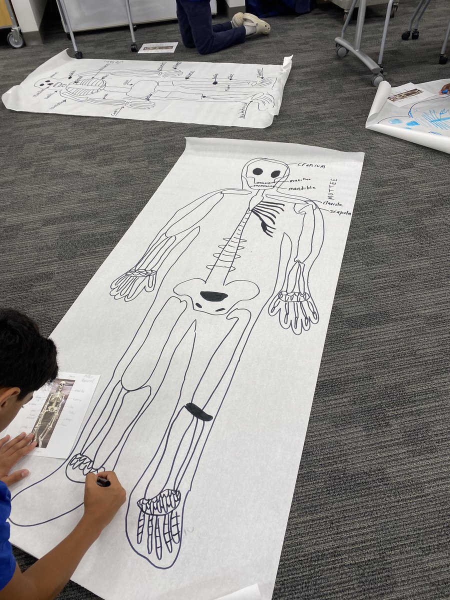 LtMarybeth's tweet photo. Learning the muscles and bones at @PropelLevel Up! STEM camp at @LCPS_Academies #lcpscte #stemeducation #SummerFun https://t.co/AsSXS2prWp