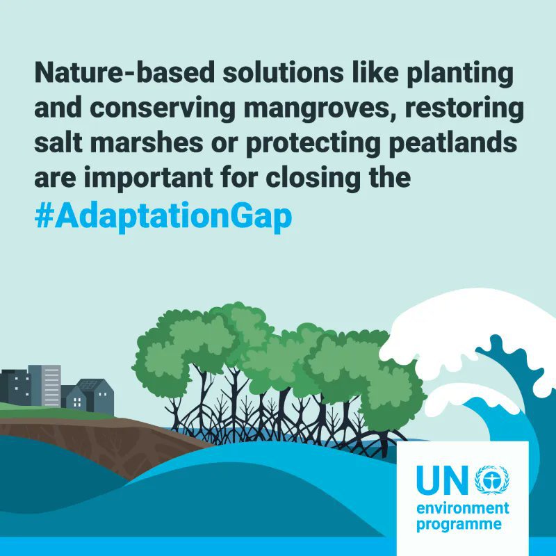 Nature-based solutions can be effective in mitigating the impacts of the #ClimateCrisis.

UNEP's #AdaptationGap report provides insights on how countries can harness the power of nature in the face of the climate emergency: bit.ly/3UiM7wx