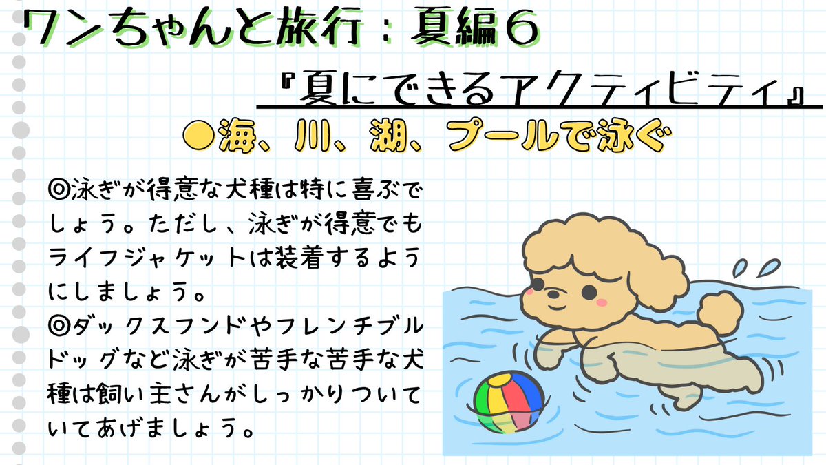 mochimaruza2ga9's tweet photo. ワンちゃんと旅行：夏編🏖️6⃣

⚫️夏にできるアクティビティ

✅海、川、湖、プールで泳ぐ

✅ボート、カヌー、カヤック、ラフティング

✅テントを張ってBBQ、キャンプ

✅自然を堪能するハイキング

#犬好きさんと繋がりがりたい #犬のいる暮らし #犬のいる生活 #犬好き #犬 #旅行 #夏休み https://t.co/Wjsr0auinQ