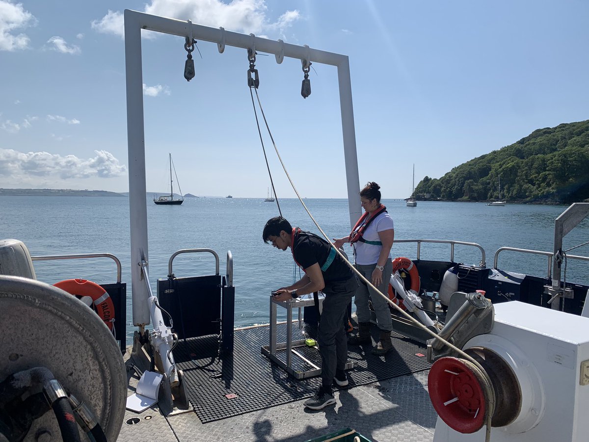 Jenny Gales tweet media