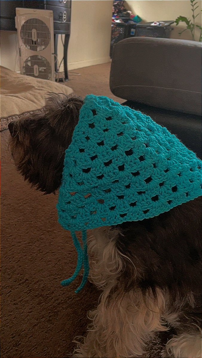 Vance helped me model it 😂🐾

#dogmodel #crochet #smallbiz