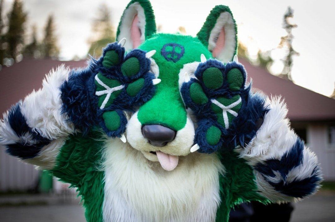 PsychoWolves's tweet image. 💚Call me Pax!
ㅤ
✨25 Yo
✨He/they 🇬🇧 Han de/dem 🇳🇴
✨Will tweet in English and some Norwegian
✨Owner of The Dealers Den Network 
✂️ Suit by @BNCreation (paws by  @grsfursuits)