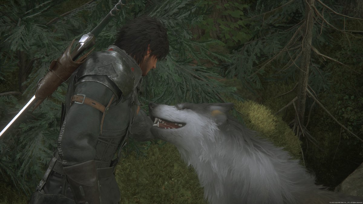 robert91d's tweet photo. Guter Junge :3

#PS5Share, #FINALFANTASYXVI https://t.co/xuzzFbBWlK