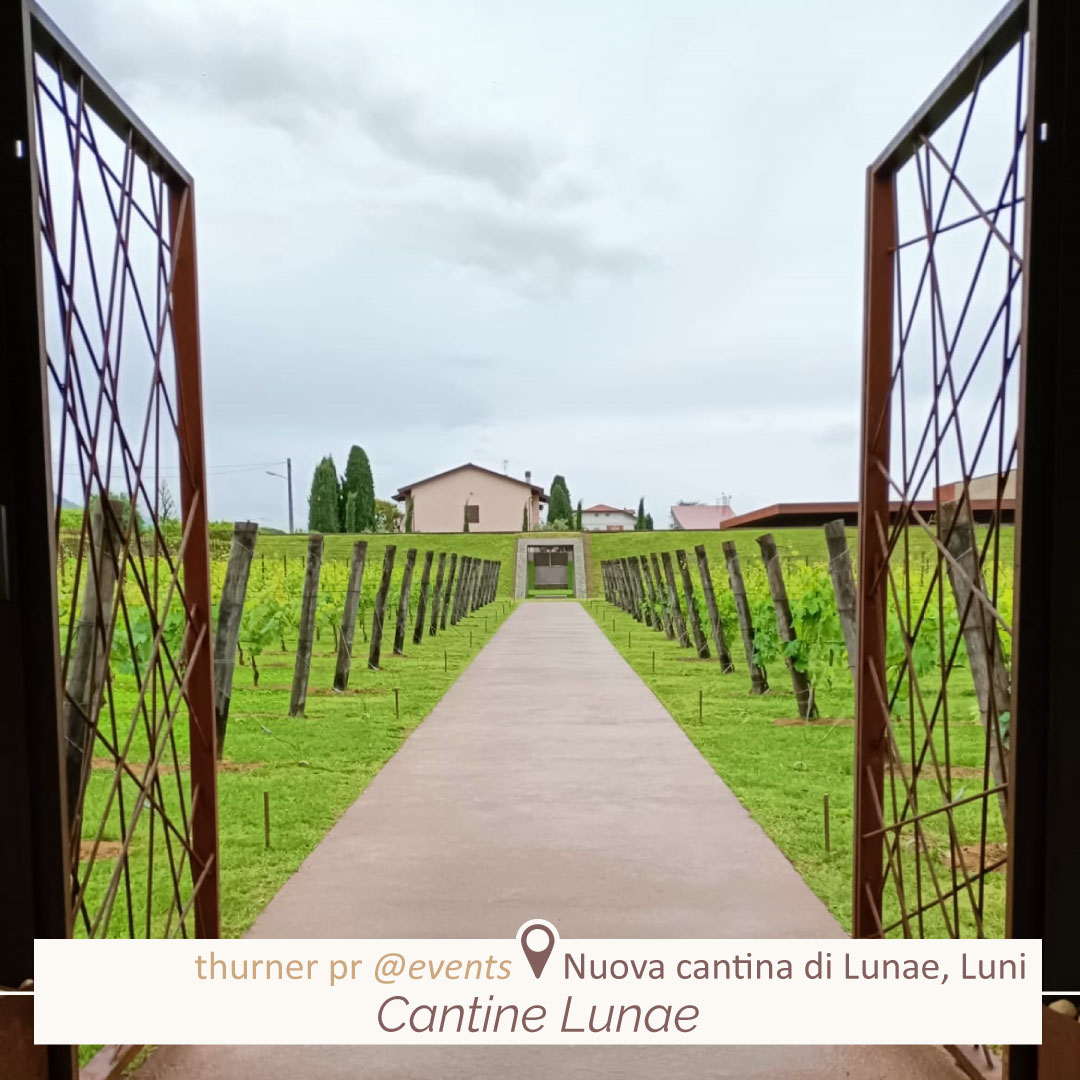 ThinkThurner tweet media