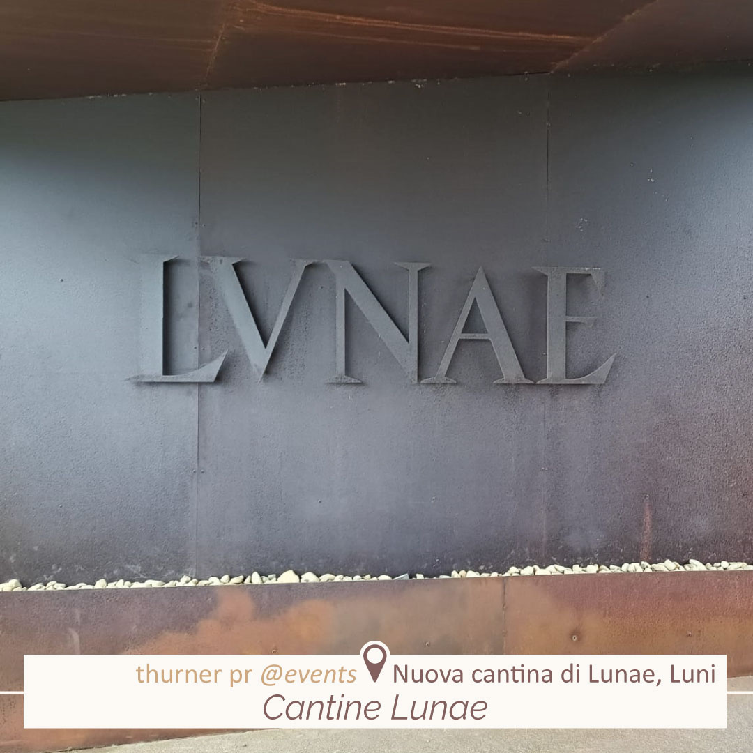 ThinkThurner tweet media