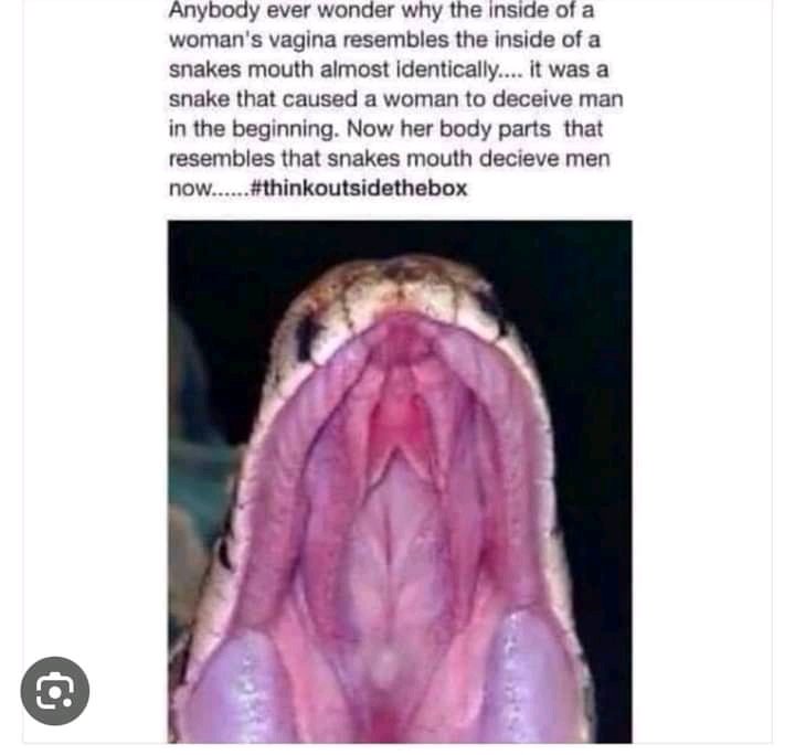 diale_killogram's tweet image. 