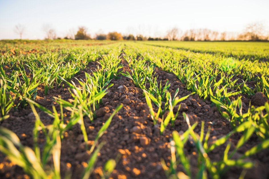 Cranfield University (@cranfielduni) on Twitter photo ๐ Three of our students have made it to the finals of the prestigious Sustainable Food Challenge 2023!
Part of the <a href="/Greenscent_eu/">GreenSCENT Project</a> project, the competition aims to educate and empower people to change their behaviour towards the environment.
Read more:
bit.ly/3pm0JkP ๐ Three of our students have made it to the finals of the prestigious Sustainable Food Challenge 2023!
Part of the <a href="/Greenscent_eu/">GreenSCENT Project</a> project, the competition aims to educate and empower people to change their behaviour towards the environment.
Read more:
bit.ly/3pm0JkP