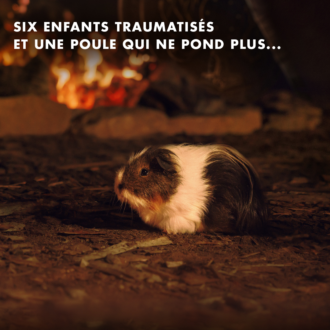 SIX ENFANTS TRAUMATISES ET UNE POULE QUI NE POND PLUS.

Voici le terrible bilan qui a poussé le village viking de Rambak à chercher une solution face aux attaques de loups.

Ce cinquième soir du solstice d’hiver, la solution ne viendra pas du grand chef Ragnar. Non, elle viendra