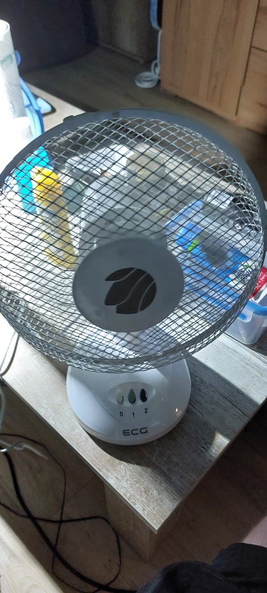 Während es draußen durch Unwetter gießt, genieße ich eine Abkühlung.