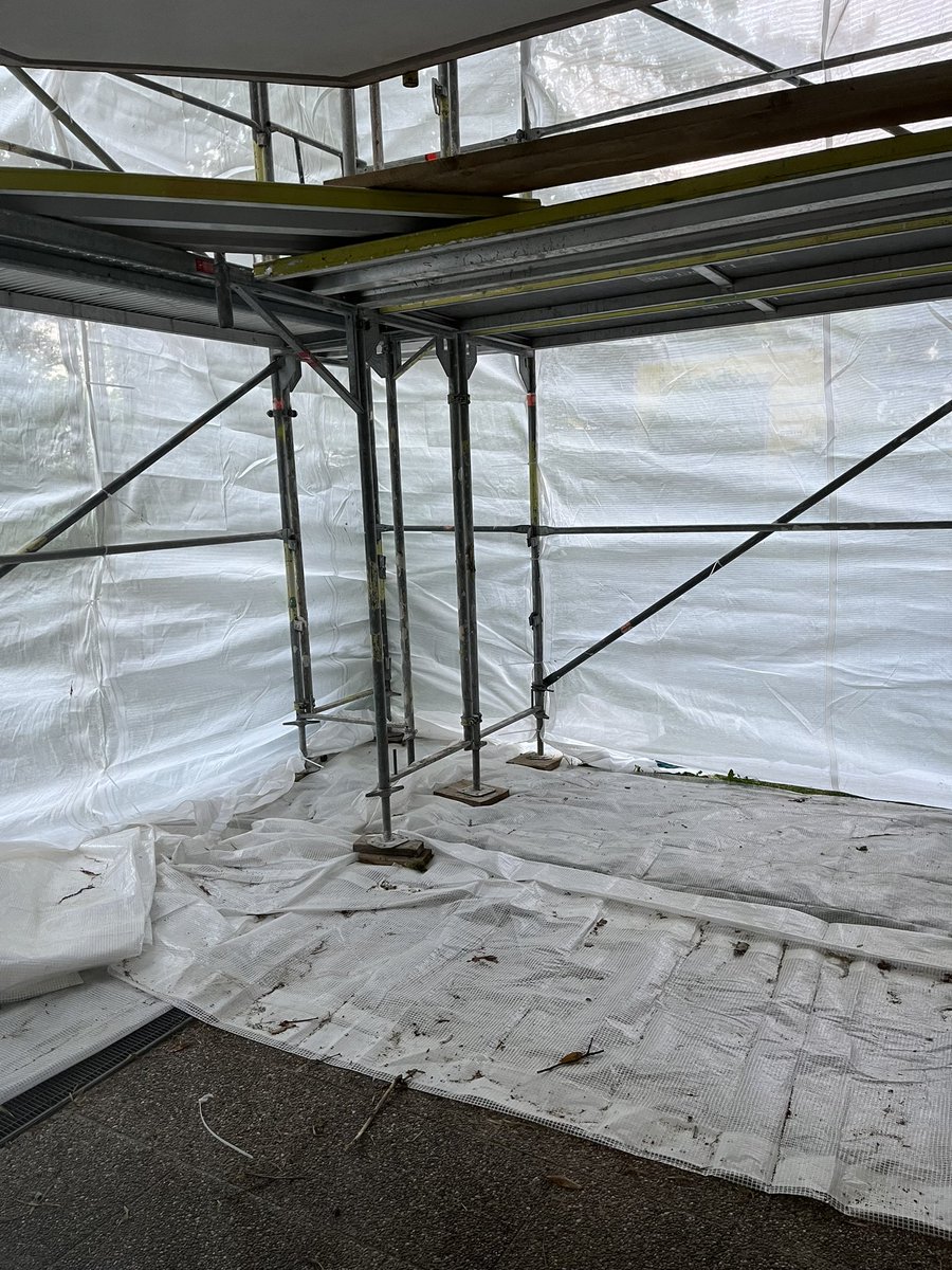 Lisa Davis tweet media