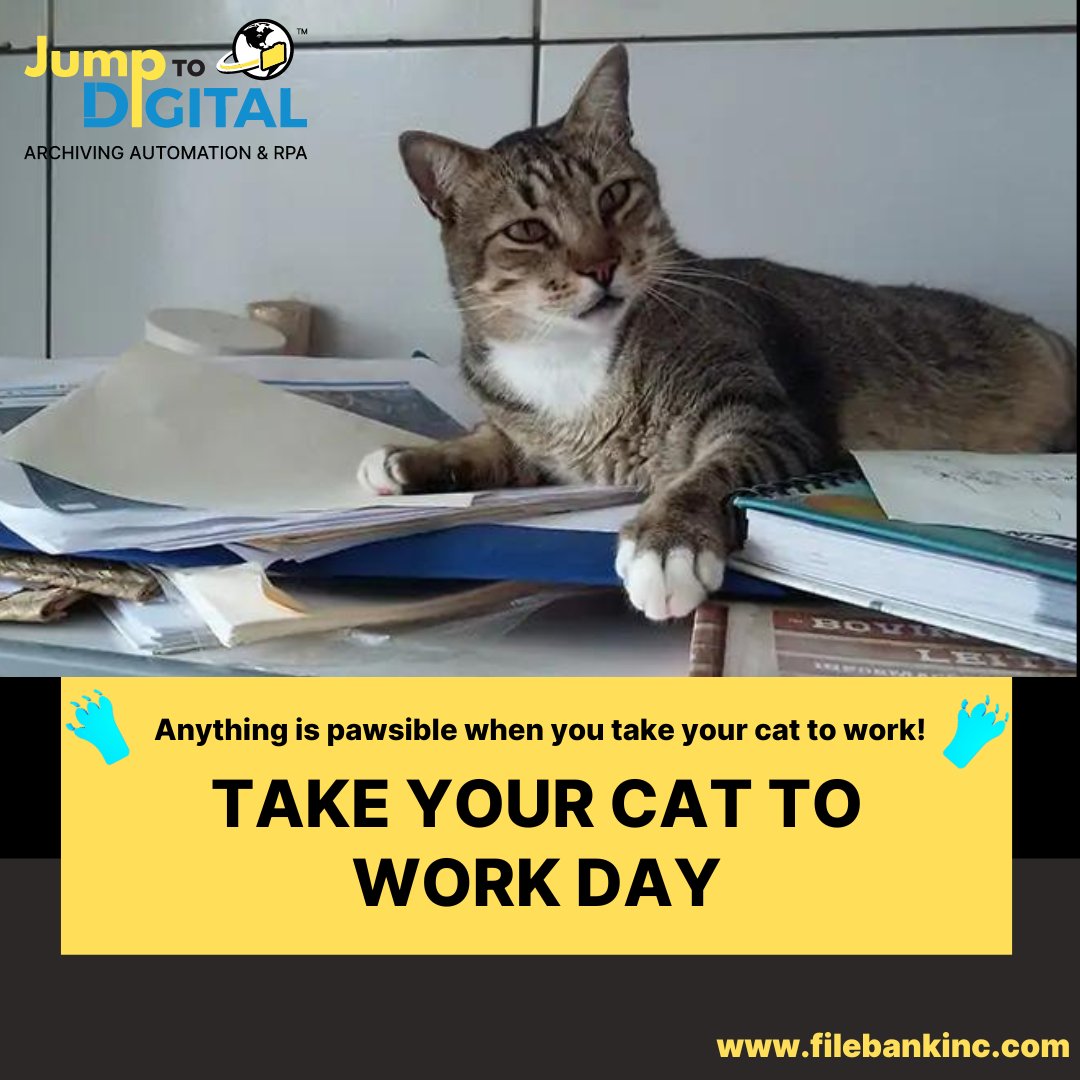 FileBankInc's tweet image. On NATIONAL TAKE YOUR CAT TO WORK DAY, your feline workmate might help you organize your paper records, or…better yet, you can send them to FileBank to digitize your files. 

Now there are some paws for thought!
#NATIONALTAKEYOURCATTOWORKDAY #FILEBANKINC #GOPAPERLESS